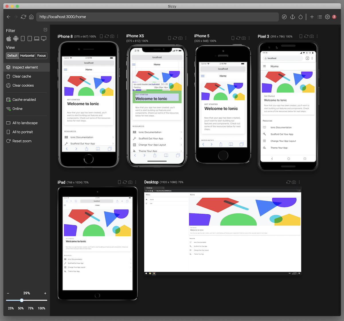 Rapid, Responsive Development with Sizzy